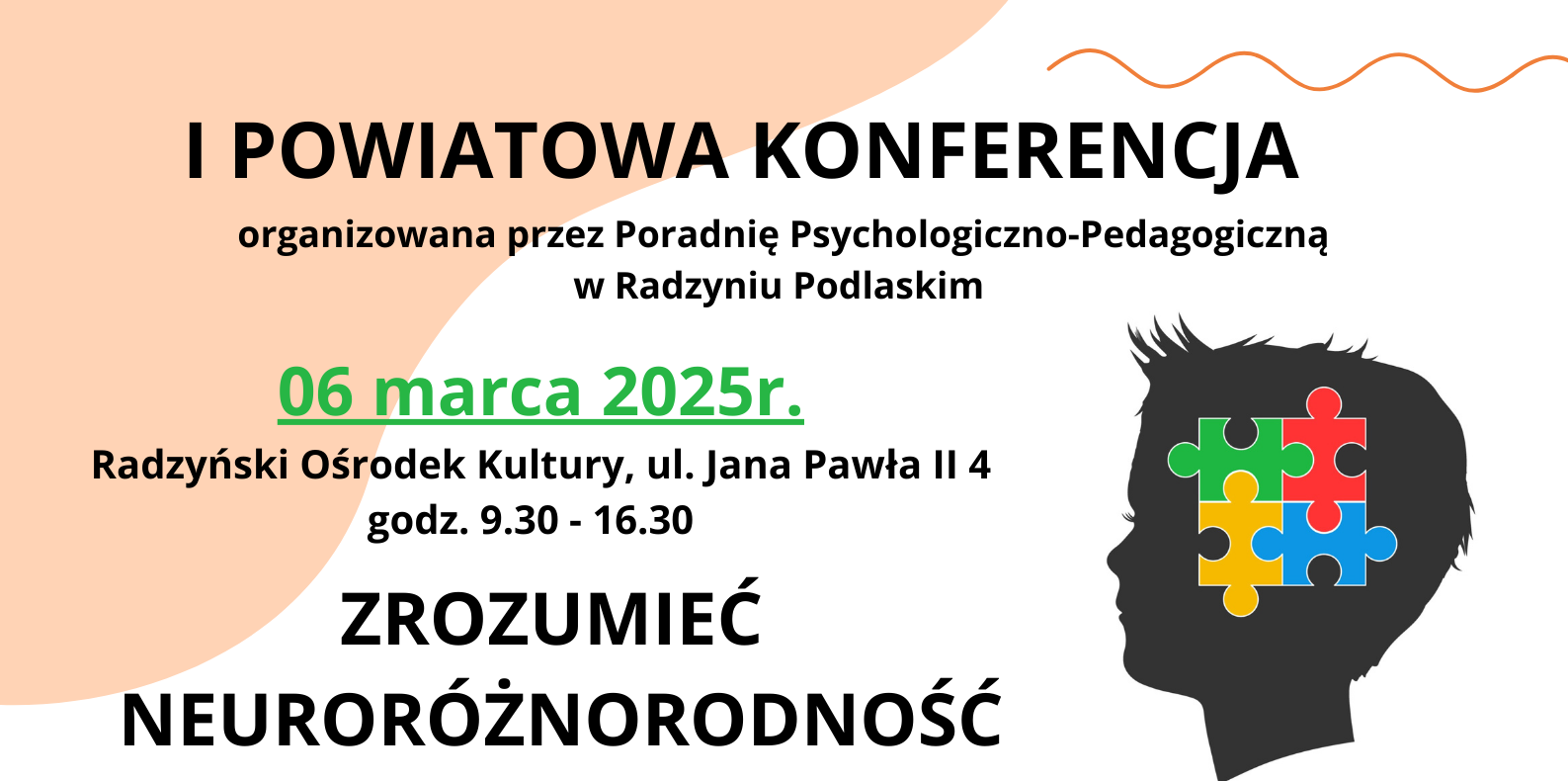 Konferencja plakat