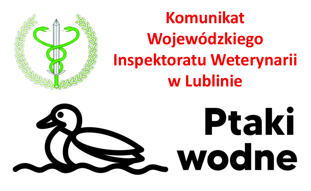 komunikat ptaki wodne