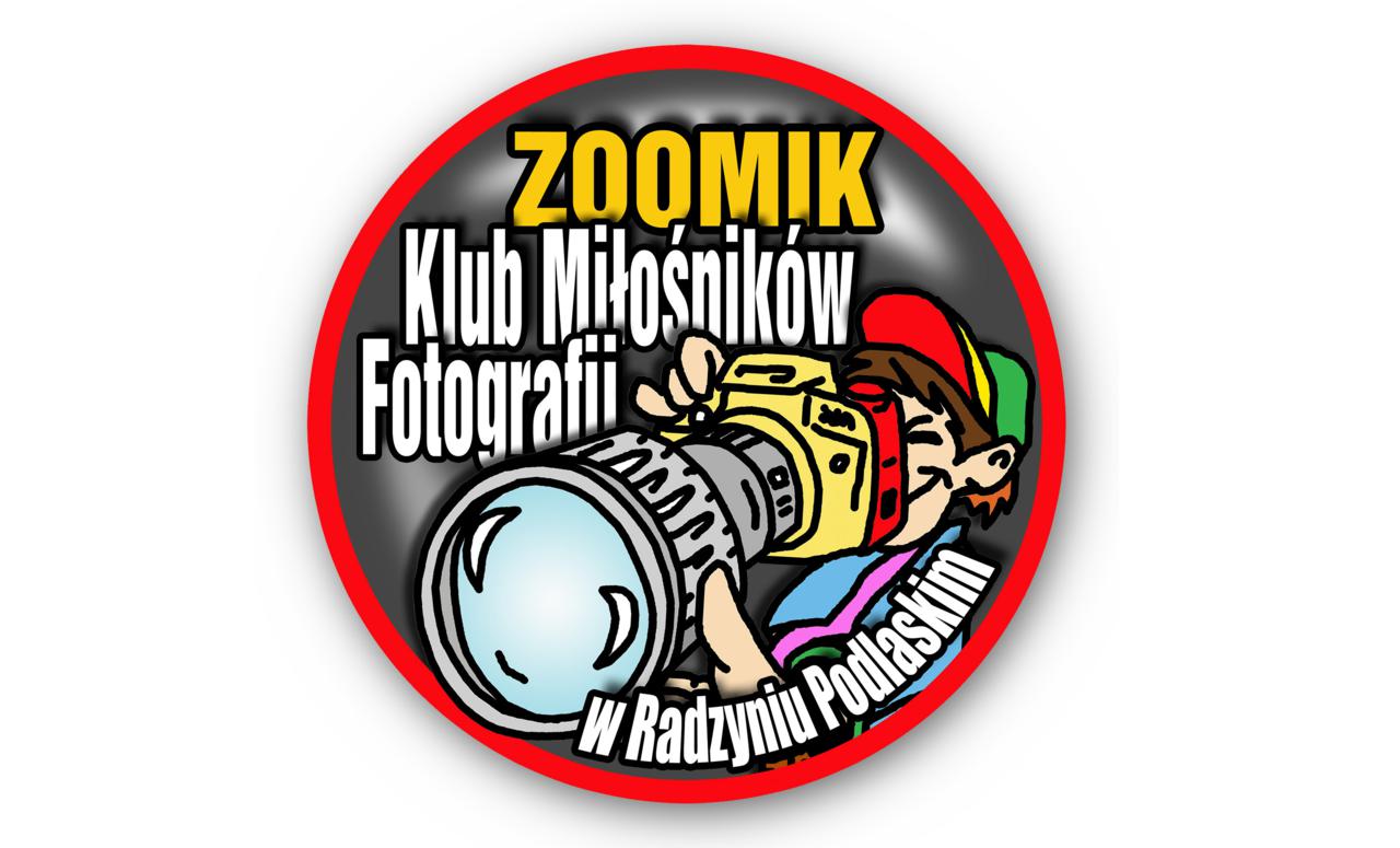 logo zoomik
