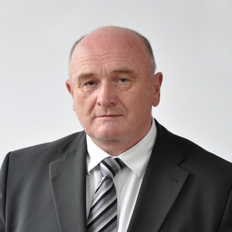 szczygiel