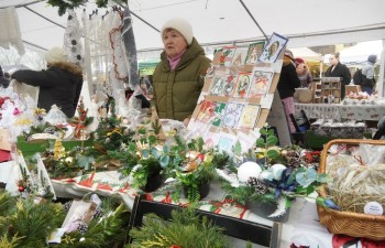 Fot. Tomasz Młynarczyk