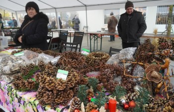 Fot. Tomasz Młynarczyk