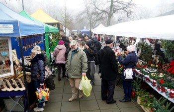 Fot. Tomasz Młynarczyk