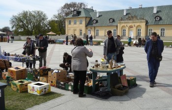 Fot.: Tomasz Młynarczyk