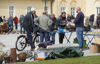 Fot.: Tomasz Młynarczyk