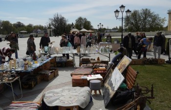 Fot.: Tomasz Młynarczyk