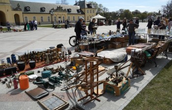 Fot.: Tomasz Młynarczyk