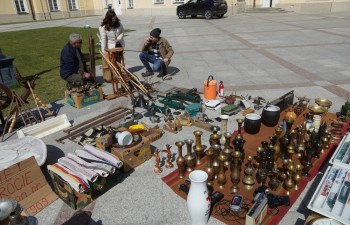 Fot.: Tomasz Młynarczyk