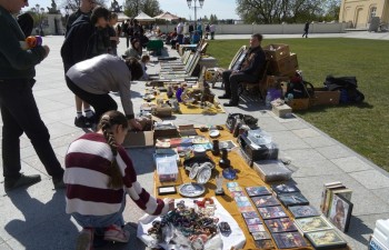 Fot.: Tomasz Młynarczyk