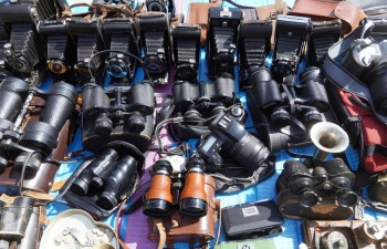 Fot.: Tomasz Młynarczyk