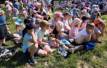 Piknik ekologiczny