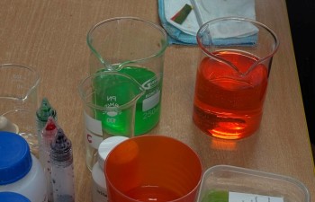 Tydzień w Przedszkolu Miejskim nr 1