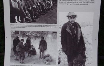 wystawa_monte_casino007