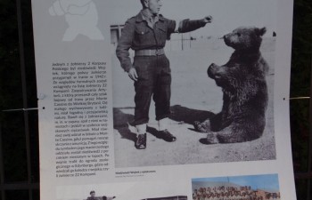 wystawa_monte_casino016