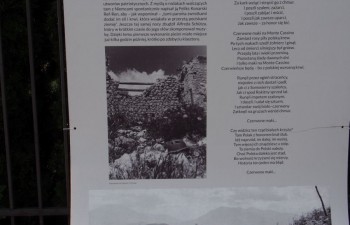 wystawa_monte_casino031