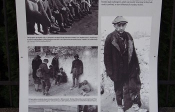 wystawa_monte_casino041