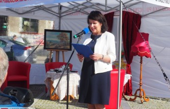 P1010247