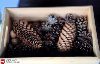210924-lasy-021
