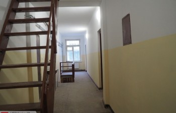 P1013234
