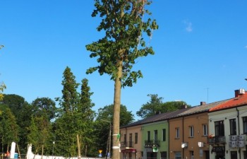 P1010399