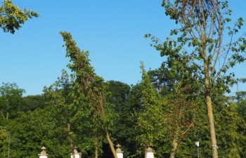 P1010405