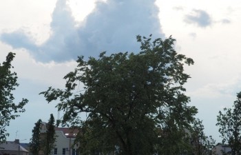 P1010412