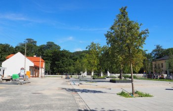 P1010802