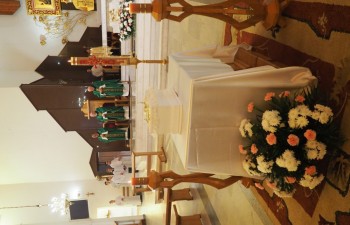 P1010038