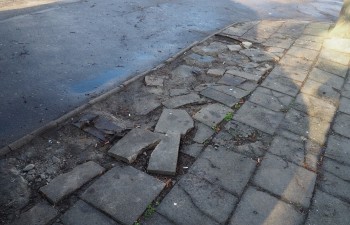 P1010227