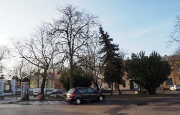 P1010242