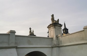 IMG_20221018_162911