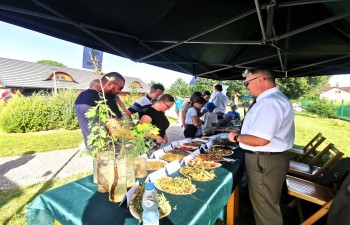IMG_20230910_152240