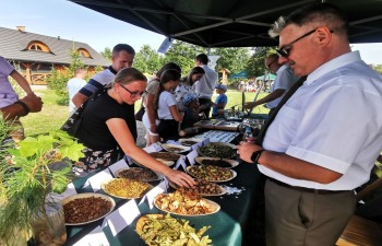 IMG_20230910_152248