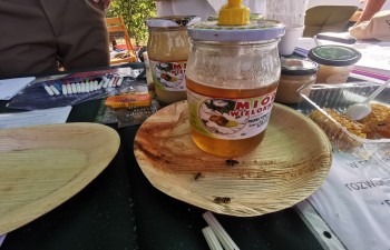 IMG_20230910_152659