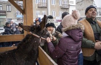 _DSC3514
