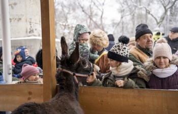_DSC3530