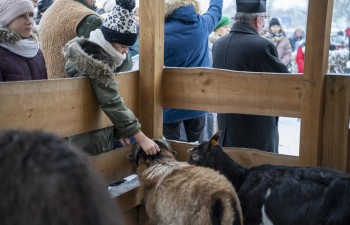 _DSC3534