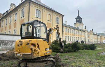 IMG_8279