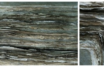 archiwum_panstwowe_radzyn_inspiracje_2024