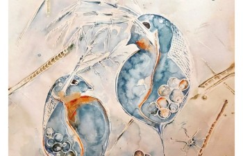 442678089_483489157436089_3151668196037837530_n