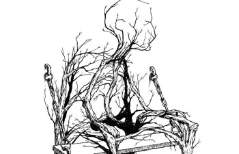 447604313_937379261497373_4255269784118641076_n