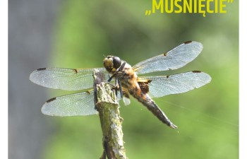 447693099_485602473917558_6775546269304924015_n