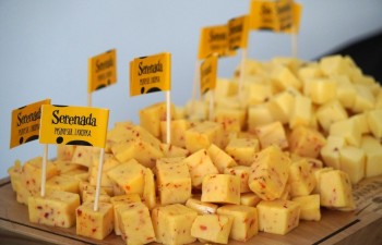 Fot.: Tomasz Młynarczyk | Radzyński Ośrodek Kultury