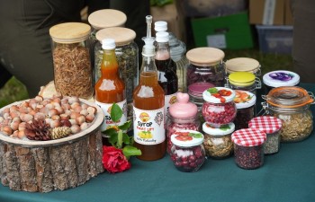 Fot.: Tomasz Młynarczyk | Radzyński Ośrodek Kultury