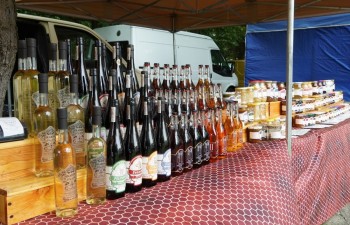 Fot.: Tomasz Młynarczyk | Radzyński Ośrodek Kultury