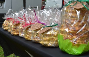 Fot. Anna Małoszewska | Urząd Miasta w Radzyniu Podlaskim