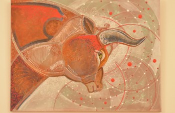 Fot.: Joanna Brzyska