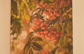 Fot.: Joanna Brzyska