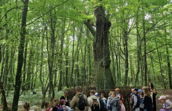 Poleski Park Narodowy