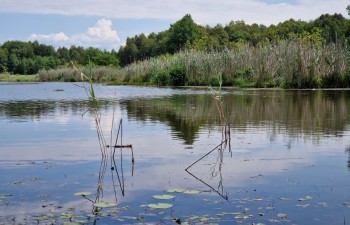 Poleski Park Narodowy